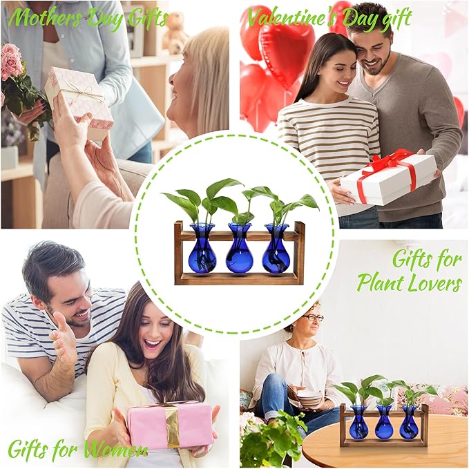 Plant Propagation Station Plant Terrarium Unique Birthday Gifts - Image 6