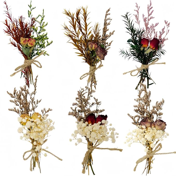 CROISSANT Mini Dried Flower Bouquet 6PCS, Mixed Natural Dried Flowers Bundles by CROISSANT