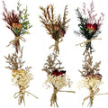 CROISSANT Mini Dried Flower Bouquet 6PCS, Mixed Natural Dried Flowers Bundles by CROISSANT