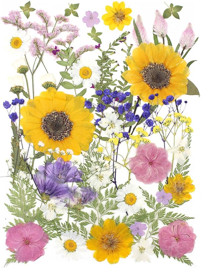 16 Types Boho Dried Pressed Flowers by AHTONG