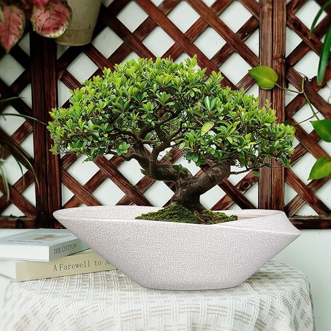 Bonsai Pots - 18 Inch Ceramic Plant Pot - Image 6