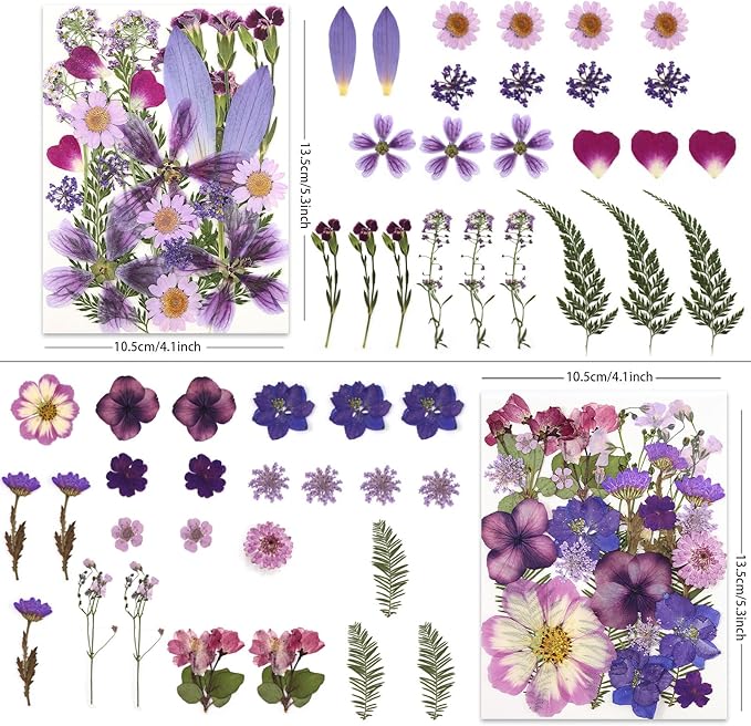 100P Purple Pressed Flowers – Real Dried Flowers - Image 2