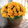 Hananona Artificial Geranium Flowers by HANANONA