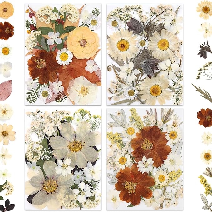 100P Vintage White Dried Flowers - Image 7