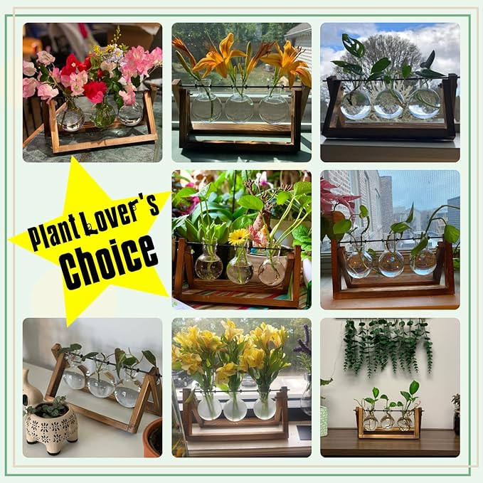 XXXFLOWER Plant Terrarium with Wooden Stand, Air Planter Bulb Glass Vase Metal - Image 5