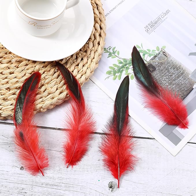 SOGUGOM Red Rooster Tail Feathers - Image 6