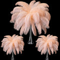 Maitys 90 Pcs Large Natural Ostrich Feathers Bulk 14-16 Inch 12-14 Inch 10-12 by Maitys