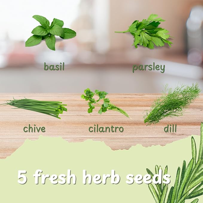 5 Herb Indoor Garden Kit-Burlap Pots, Organic Seeds & Complete Growing Herb - Image 3