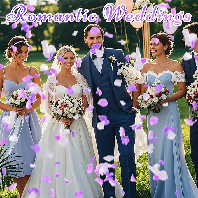 180 PCS Real Purple White Rose Petals - Image 3