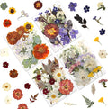 80P Vintage Pastel Dried Flowers by LUXEEASE