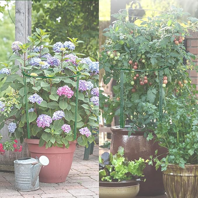6 Pack 30 inch Plant Support Stakes, Heavy-Duty Half Round Peony Support - Image 6