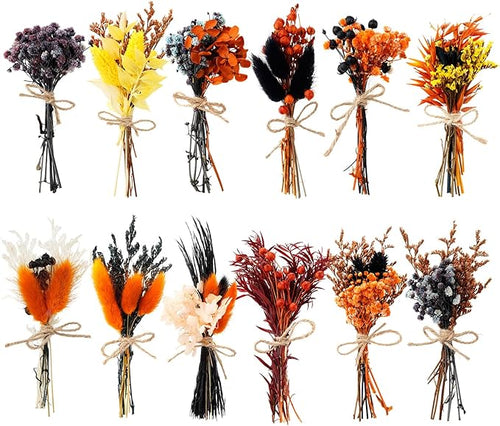 10/12/24/36 Pack Mini Dried Flowers by Unknown