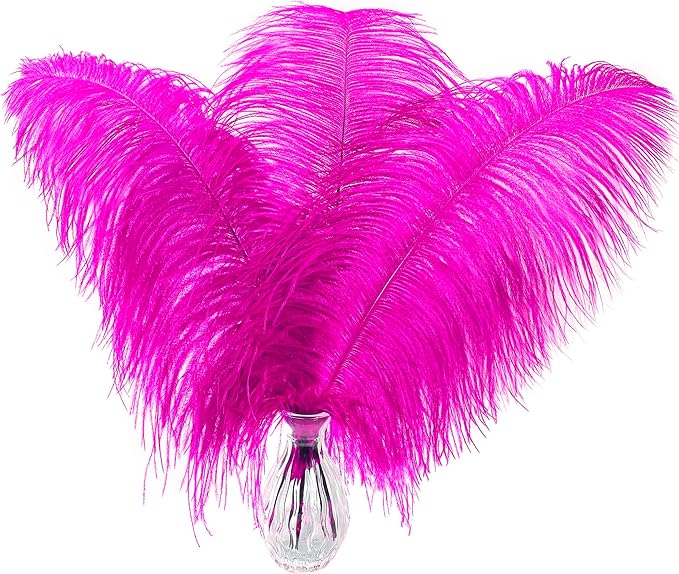 Fuchsia Large Ostrich Feathers Bulk- 16-18 inches 10pcs by Larryhot