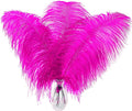 Fuchsia Large Ostrich Feathers Bulk- 16-18 inches 10pcs by Larryhot