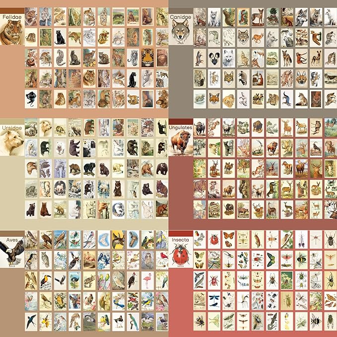 12 Sets 600 Sheets Washi Stickers Book - Image 2