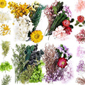 Nuanchu 4 Bags Natural Dried Flowers Leaves Set, Mixed Dried Hydrangeas by Nuanchu