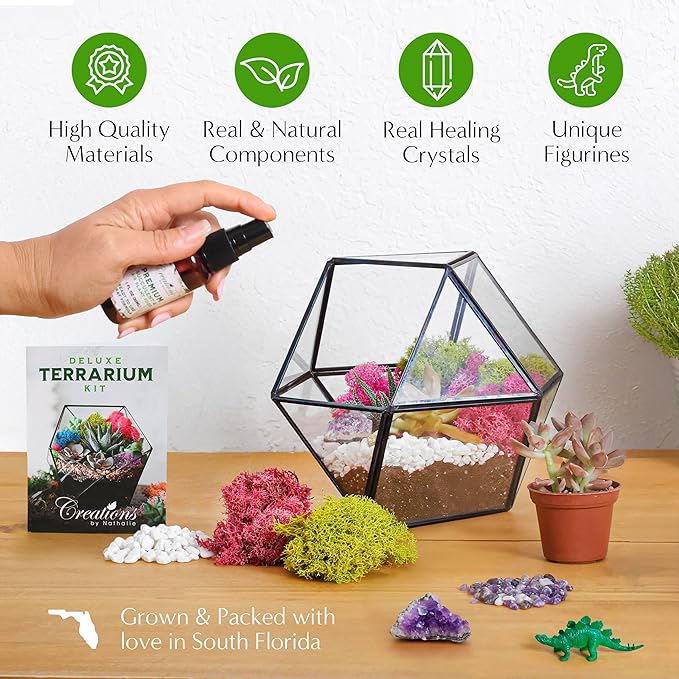 – DIY Large Terrarium Starter Kit - Image 4