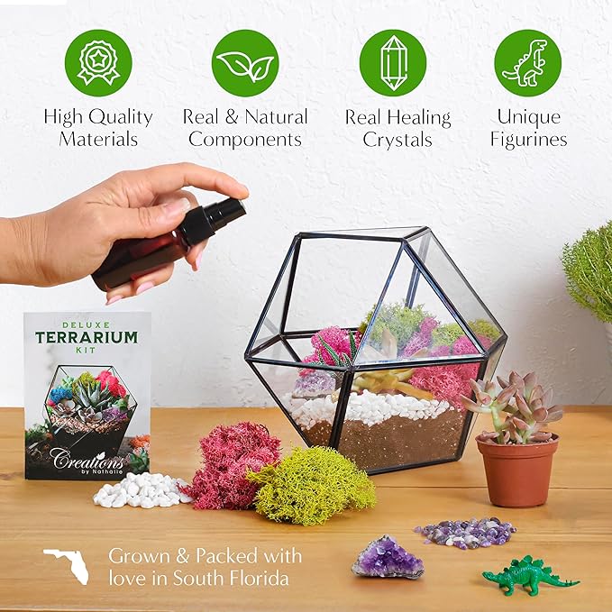 – Premium Small DIY Terrarium Kit - Image 5