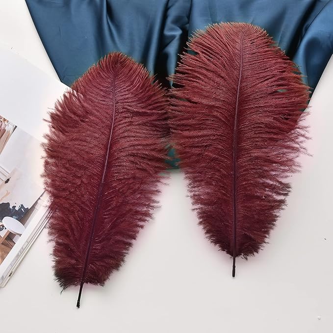 Ballinger Big Burgundy Ostrich Feathers - Image 4