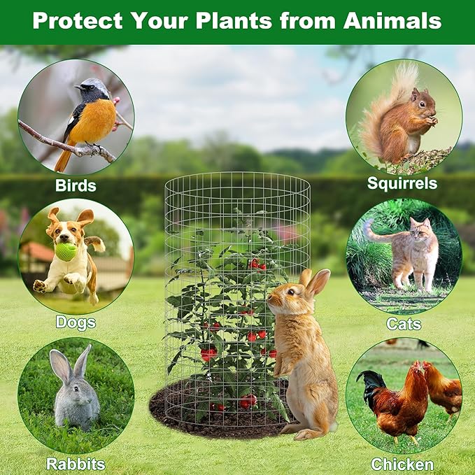 winemana 12 Set Garden Plant Protector Cage, 16x12 in Metal Wire Protectors - Image 2