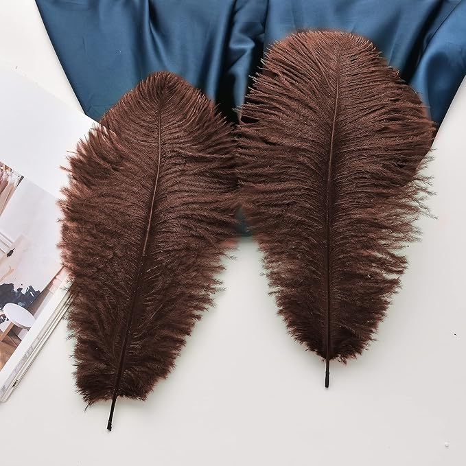 Ballinger Brown Big Ostrich Feathers - Image 4