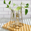 Propagation Station Terrariums by KateAspen