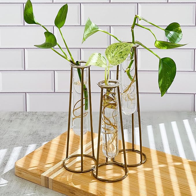 Propagation Station Terrariums by KateAspen