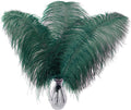 Larryhot Green Large Ostrich Feathers by Larryhot
