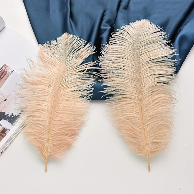 Ballinger Champagne Large Ostrich Feathers - Image 4