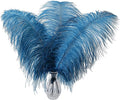 Larryhot 16-18inch Long Ostrich Feathers by Larryhot