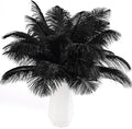 THARAHT Black Ostrich Feathers 24pcs Natural Bulk 10-12Inch 25cm-30cm by THARAHT