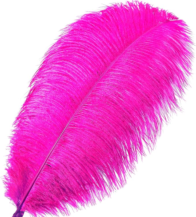 Fuchsia Large Ostrich Feathers Bulk- 16-18 inches 10pcs - Image 2