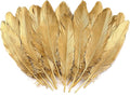 Larryhot Gold Goose Feathers for Crafts by Larryhot