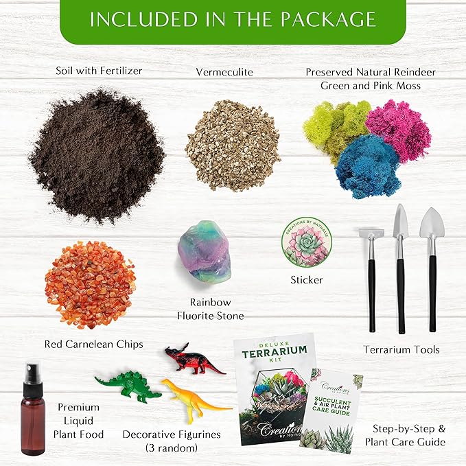 – Premium Small DIY Terrarium Kit - Image 2