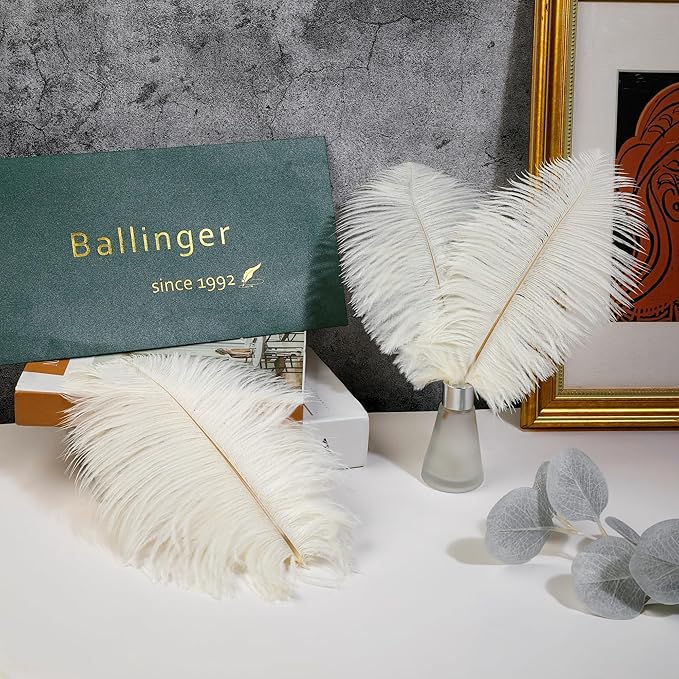 Ballinger Beige Big Ostrich Feathers - Image 5