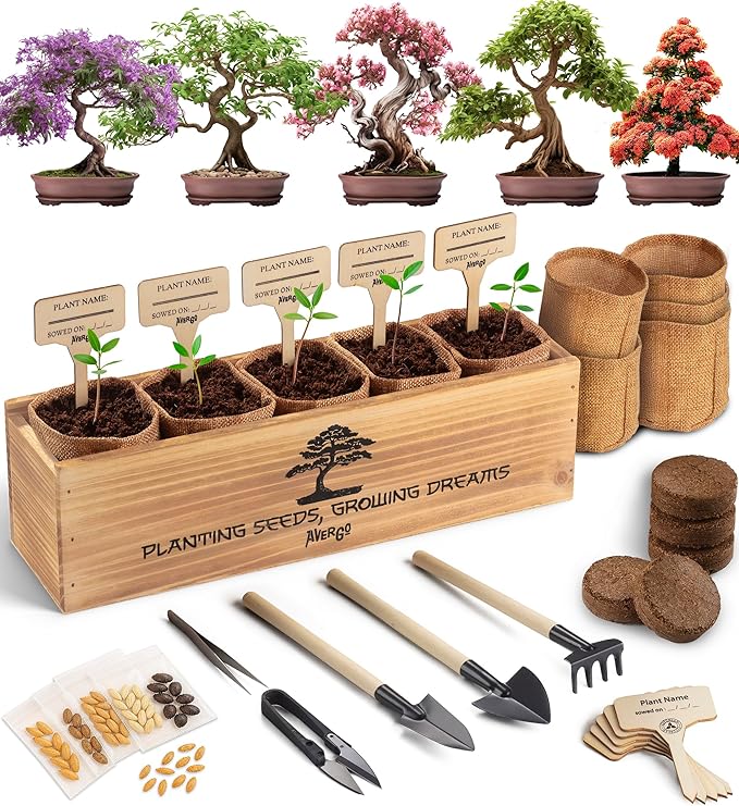 AVERGO Bonsai Tree Kit for Beginners – 5X Unique Japanese Bonzai Trees | by Plantingseedsgrowingdreams