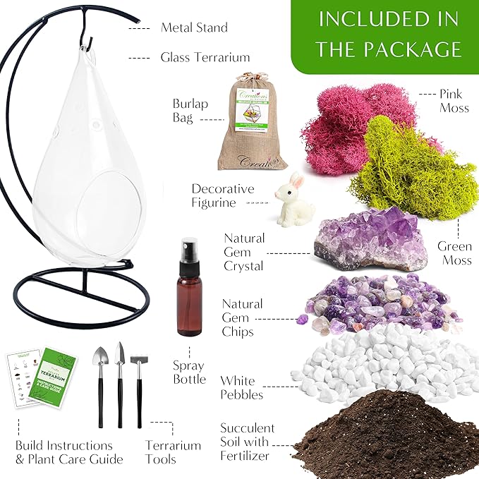 7" DIY Teardrop Terrarium Kit - Image 3
