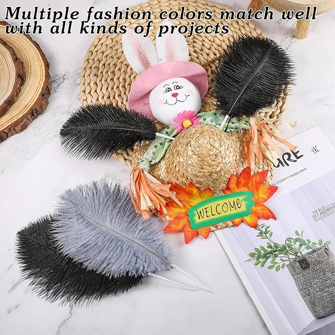 SOGUGOM Black Craft Ostrich Feathers - Image 4