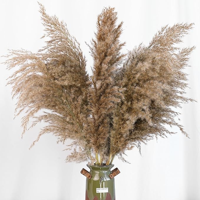 20 PCS Dried Flower, 30-inch Tall Nature Pampas Grass Bouquet Decor - Image 7