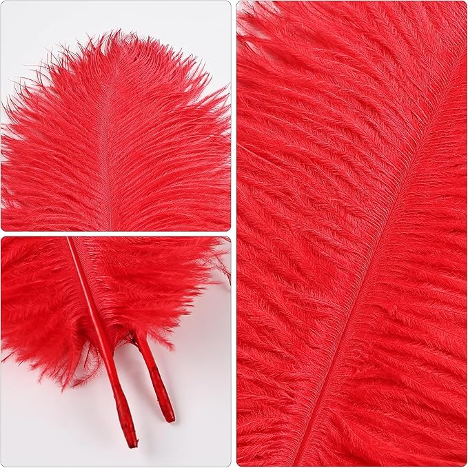 THARAHT Red Ostrich Feathers 24pcs Natural Bulk 10-12Inch 25cm-30cm - Image 3