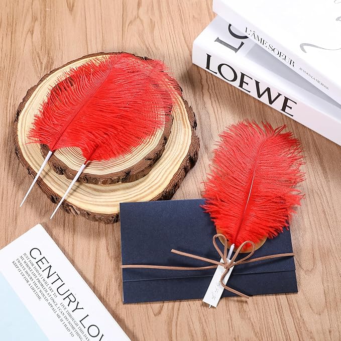 SOGUGOM Red Craft Ostrich Feathers - Image 6