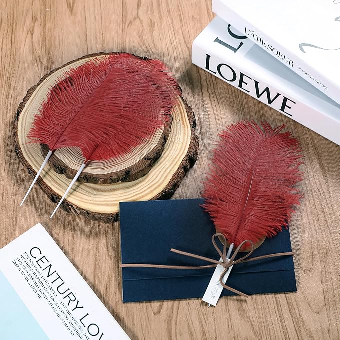 SOGUGOM Burgundy Craft Ostrich Feathers - Image 6