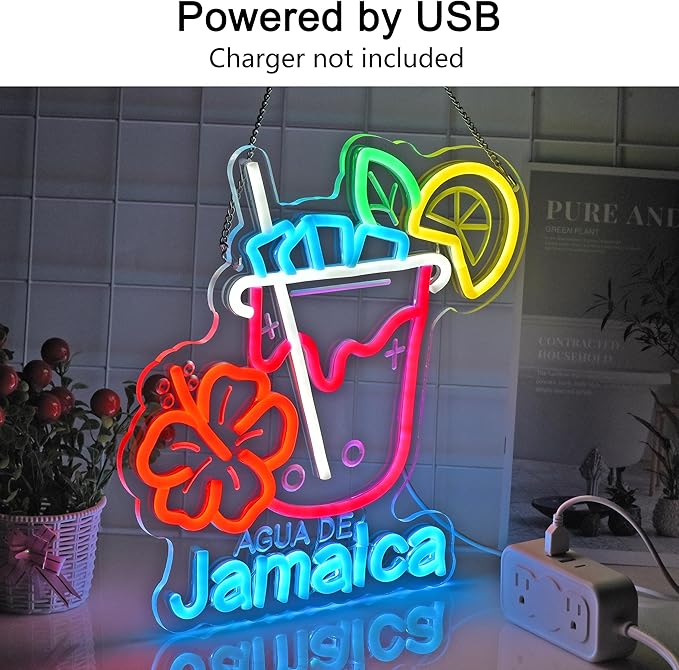 CNBEYOUNG Agua De Jamaica Neon Sign, Neon Lights Hanging Wall Art Decoration - Image 2