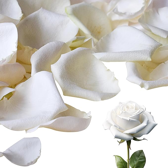 3.5 Oz Dried Rose Petals Wedding Biodegradable Petals, Natural Preservation - Image 2