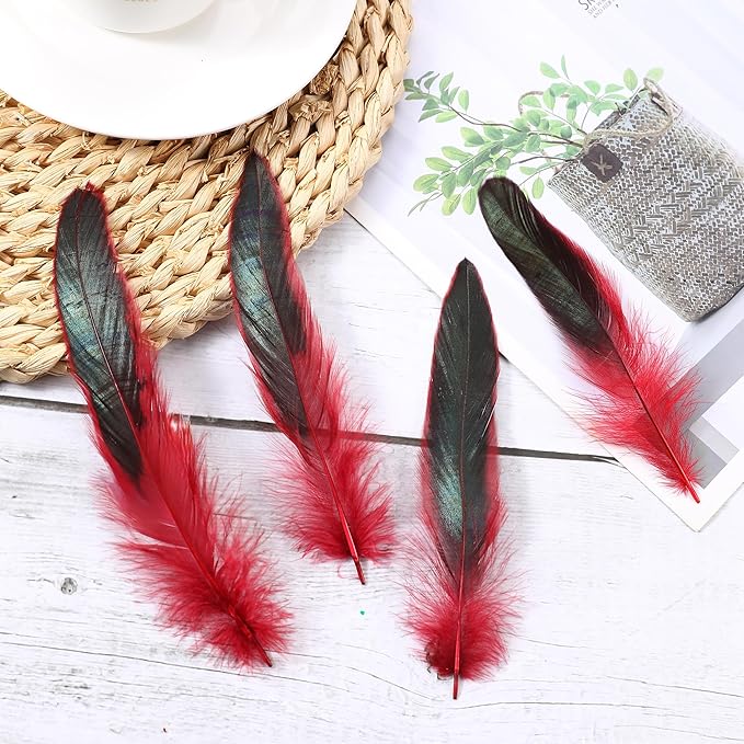 SOGUGOM Red Rooster Tail Feathers - Image 6