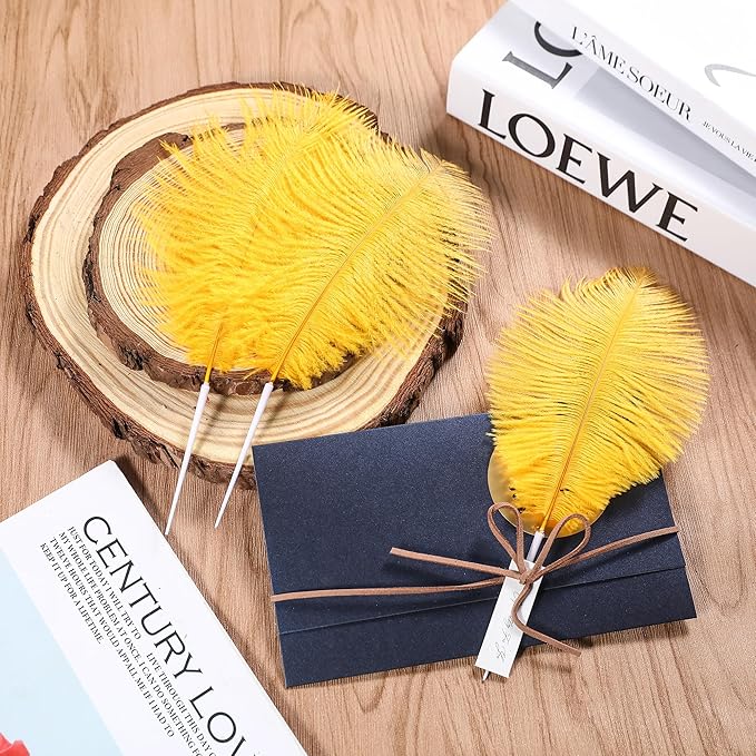 SOGUGOM Gold Craft Ostrich Feathers - Image 6