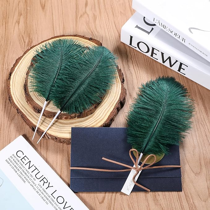 SOGUGOM Green Craft Ostrich Feathers - Image 6
