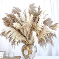 20 PCS Dried Flower, 30-inch Tall Nature Pampas Grass Bouquet Decor by Unknown
