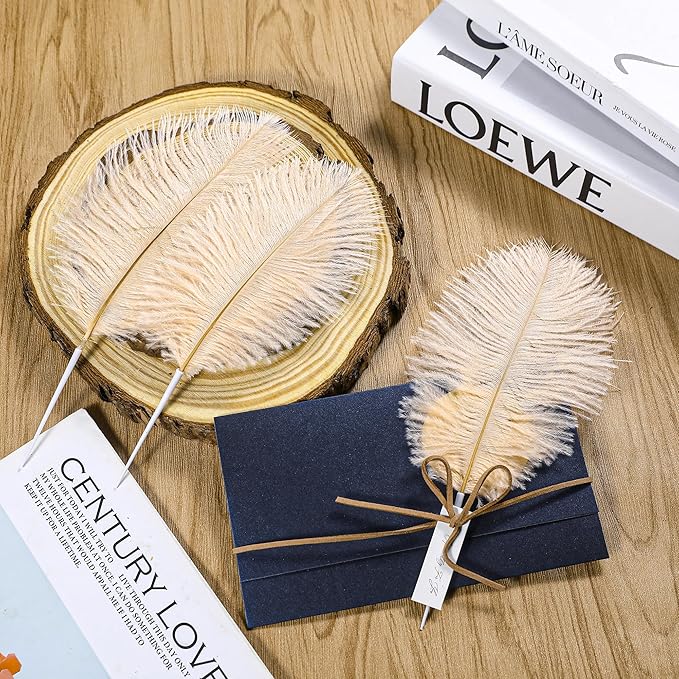 SOGUGOM Champagne Craft Ostrich Feathers - Image 6