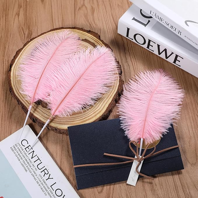 SOGUGOM Pink Craft Ostrich Feathers - Image 6